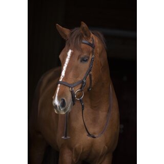 Rambo Micklem Competition Bridle P=Pony braun