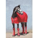 Horseware Amigo Jersey Cooler Abschwitzdecke...